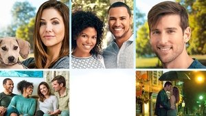 undefined Images